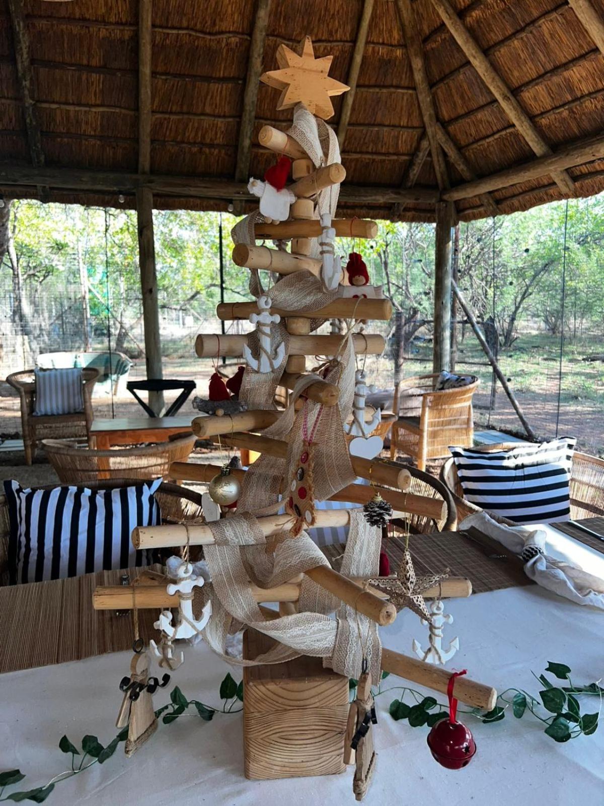 Simba Safaris African Pride Exotic *