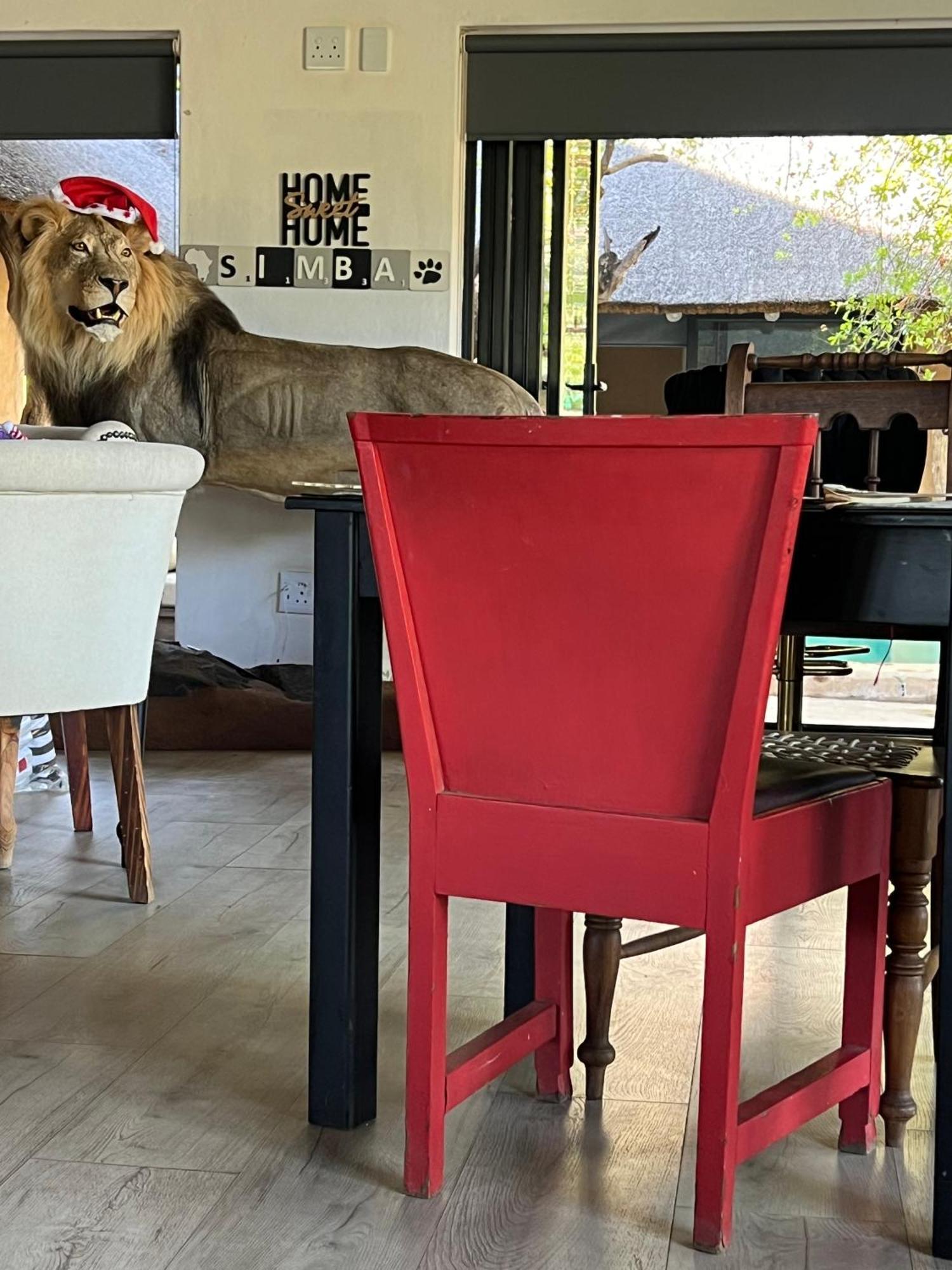 Simba Safaris African Pride Exotic Bed & Breakfast *