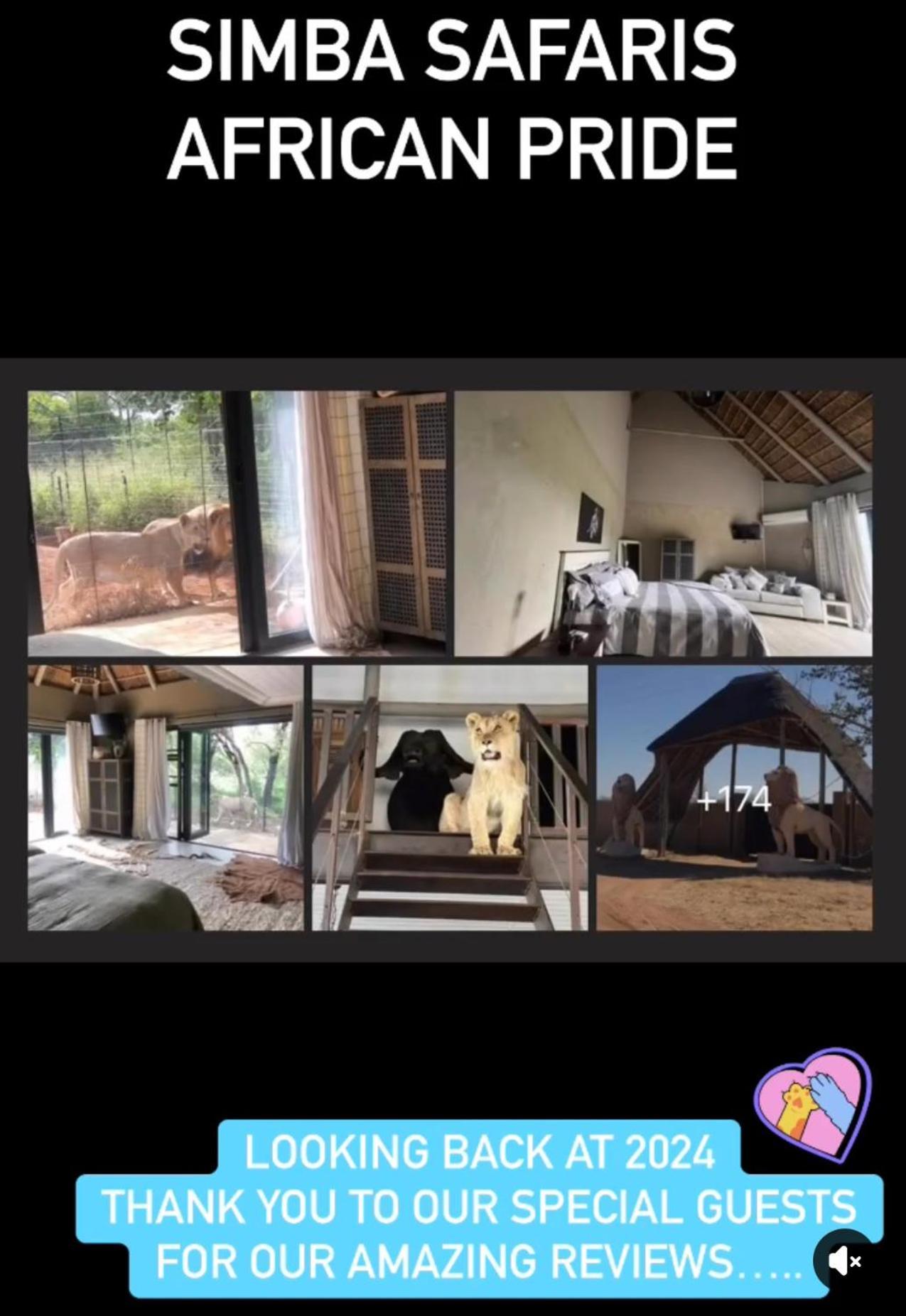 Simba Safaris African Pride Exotic Lephalale